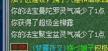 175五开直播