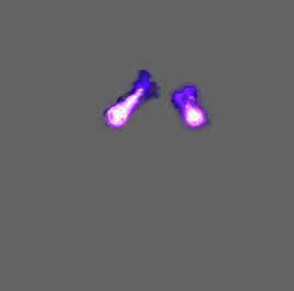 ŮĹɼ
