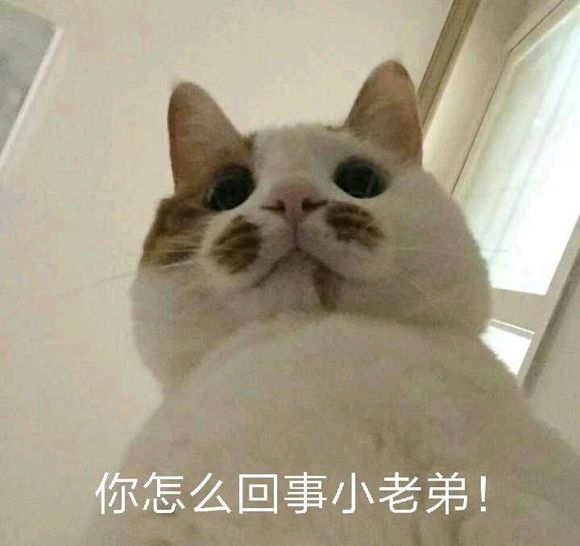 ؽͼ
