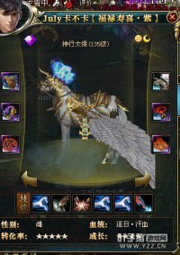 九州月圆徐州高战一览 15X12X大神如云