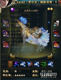 御龙在天开拓千军15星套:罗小贝